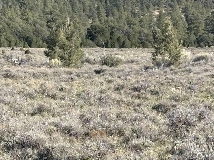 Property Photo:  10 Acres Bryce Canyon Sec 34 T33s R5w  UT 84764 