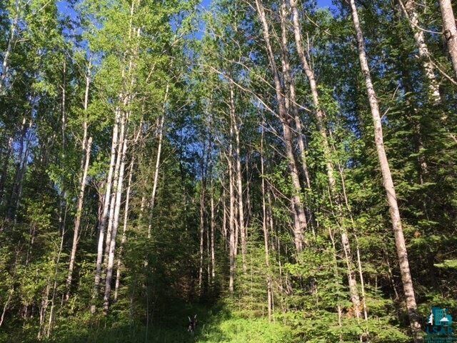 Property Photo:  1xxx Camp 20 Rd  MN 55606 