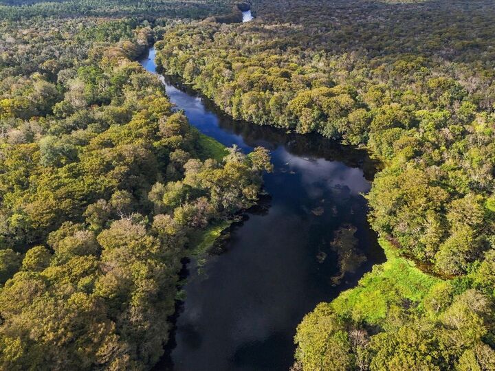 Property Photo:  3156 N Hooty Point  FL 34453 
