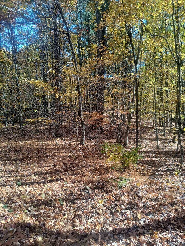 Property Photo:  Map 8 Lot 77 Province Road  NH 03884 
