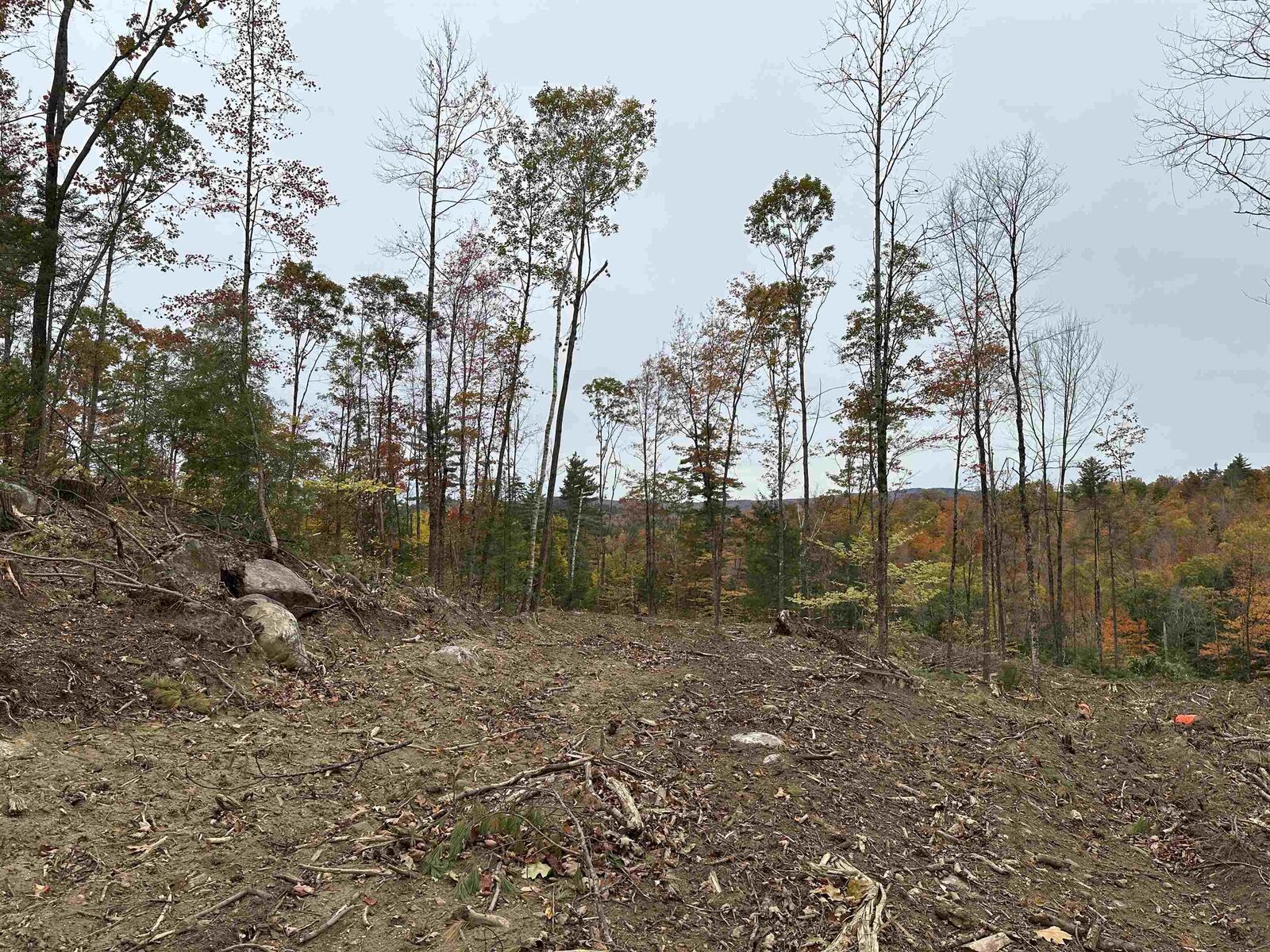 Property Photo:  00 Wild Meadow Road  NH 03240 