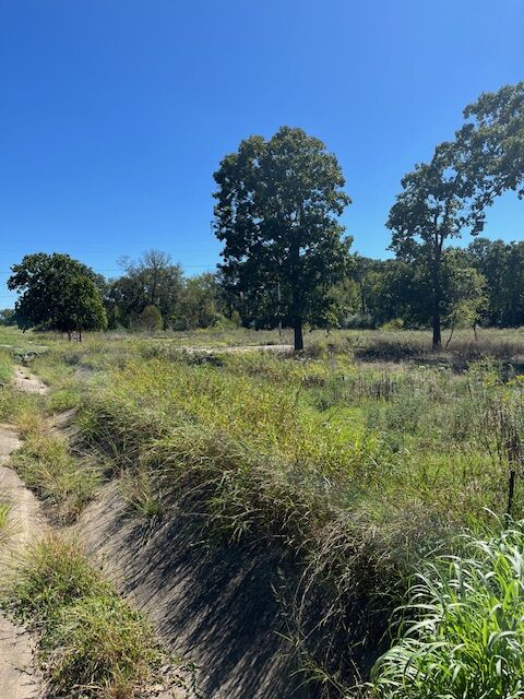 Property Photo: 3847, 3907, 3929, Lot 3 E Robinson Avenue AR 72764