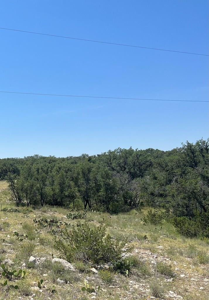 Property Photo: 4120 Majestic Oaks Drive TX 76935