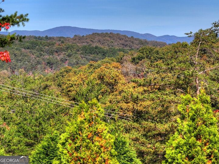 Property Photo: 360 Hope Drive GA 30513