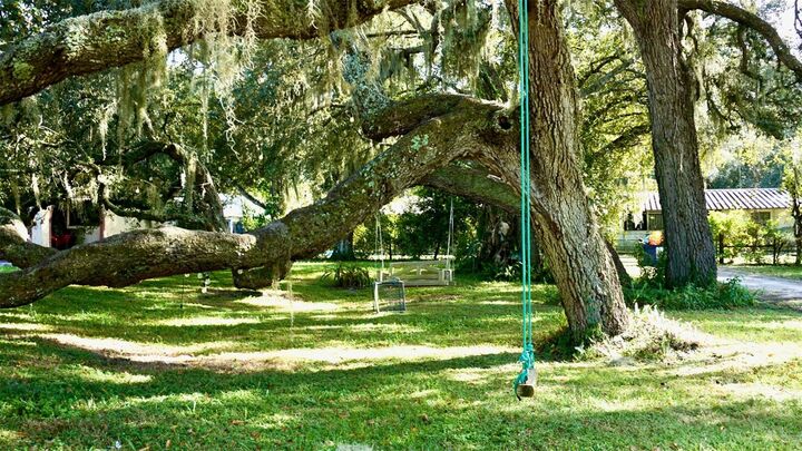 Property Photo: 36178 Gresham Road FL 33597