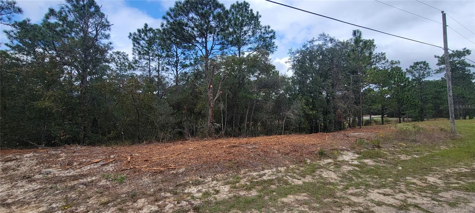 Property Photo: 9172 N Marcus Way FL 34433