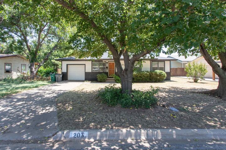 Property Photo:  203 Mimosa Drive  TX 76354 