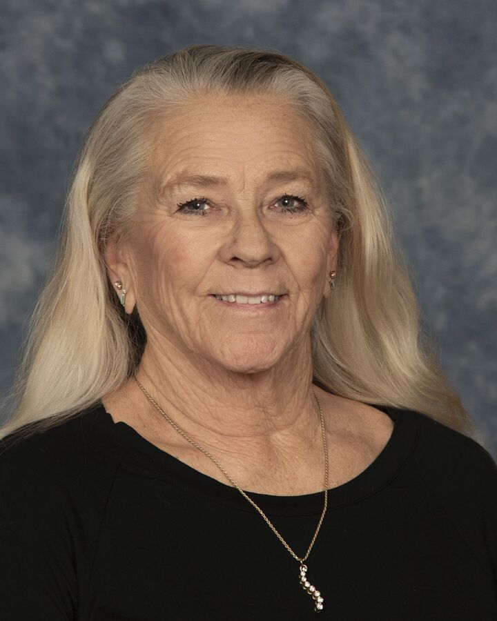 Ann Price, Real Estate Salesperson in Payson, ERA Young Realty & Investment