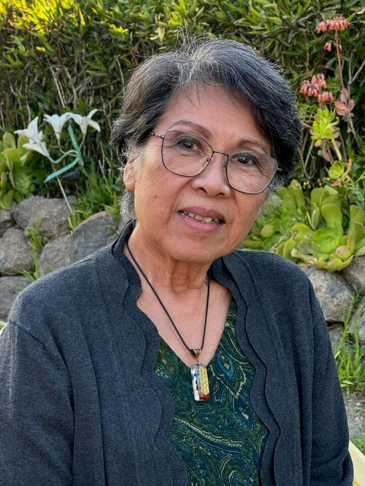 Celia Salazar, Time Share in San Jose, Icon Properties