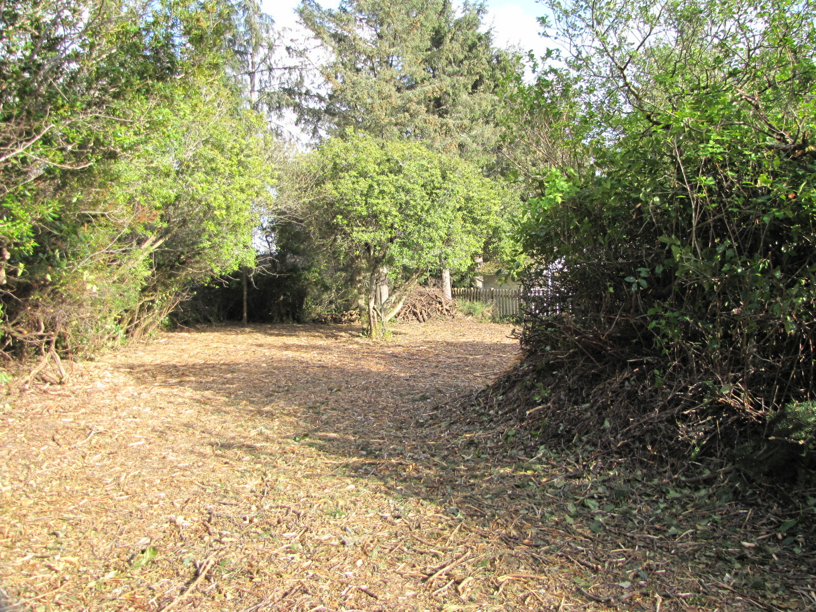 Property Photo: Lot 180 S Narwhal Lp SW  WA 98569 
