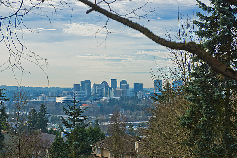 Property Photo: 12420 NE 27th St WA 98005