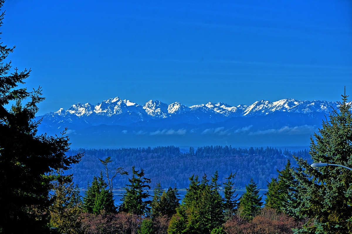 Property Photo: 4531 78th Place SW WA 98275