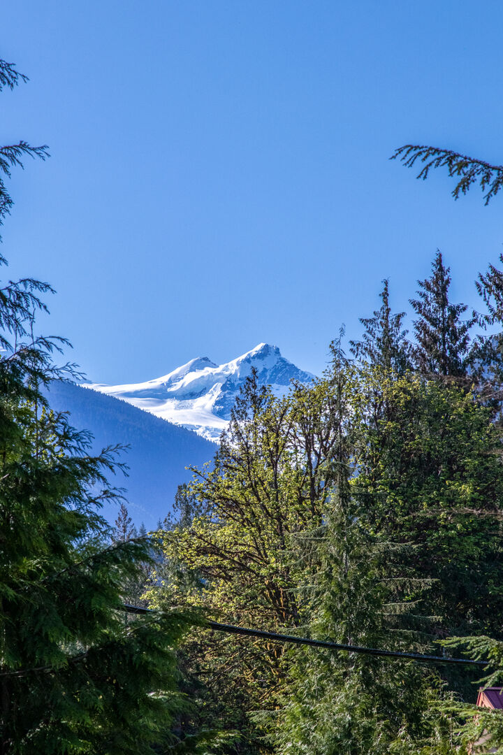 Property Photo: 11102 Welcome Rd WA 98244