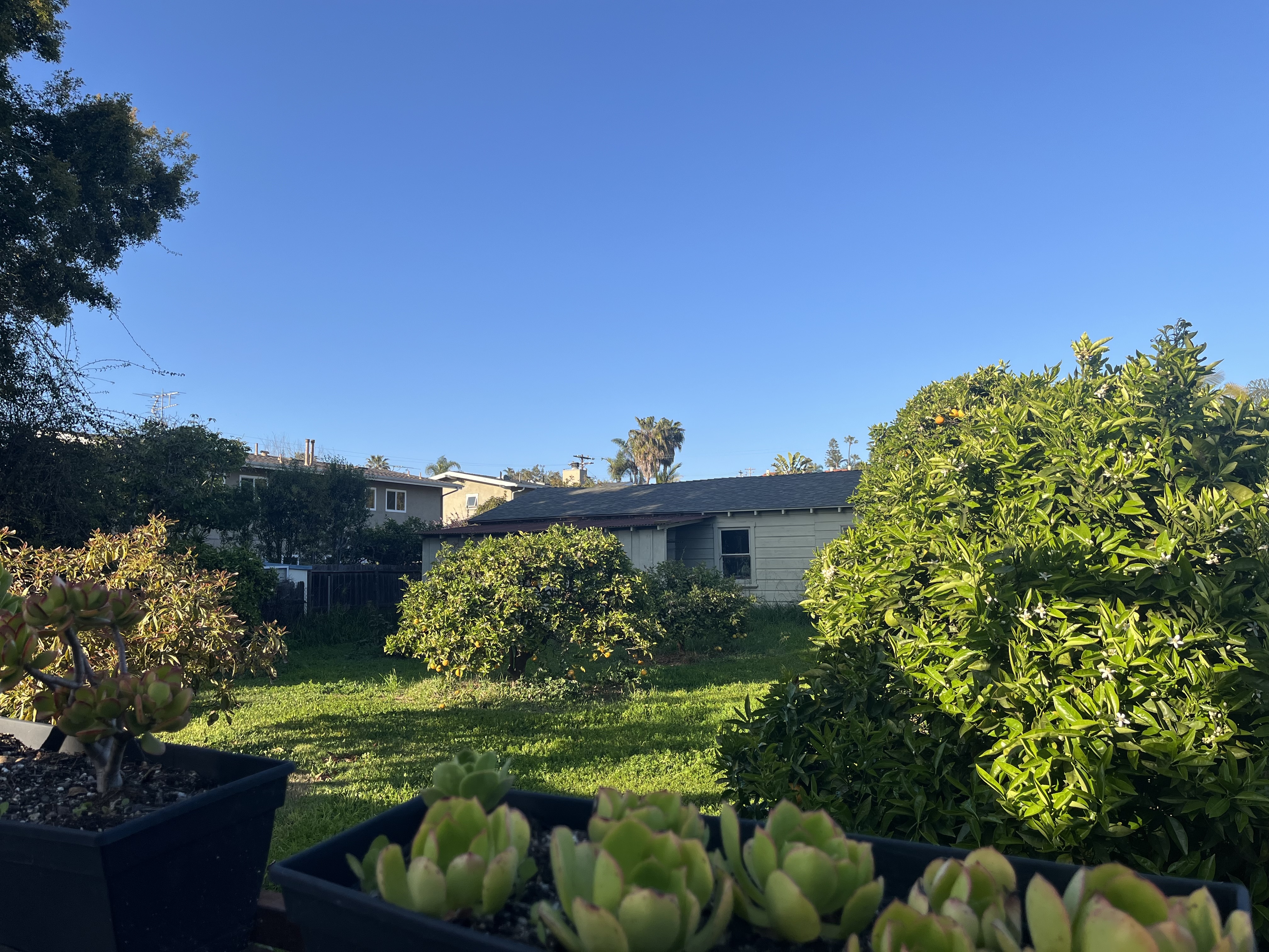 Property Photo: 523 N Vulcan Avenue 35 CA 92024