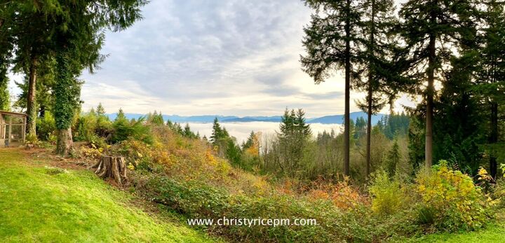 Property Photo: 19236 SE 62nd Place WA 98072
