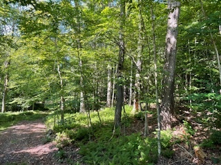 Property Photo:  Browns Road  NY 12765 