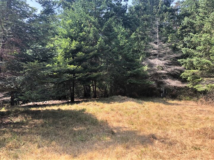 72 Center Island  Center Island WA 98221 photo