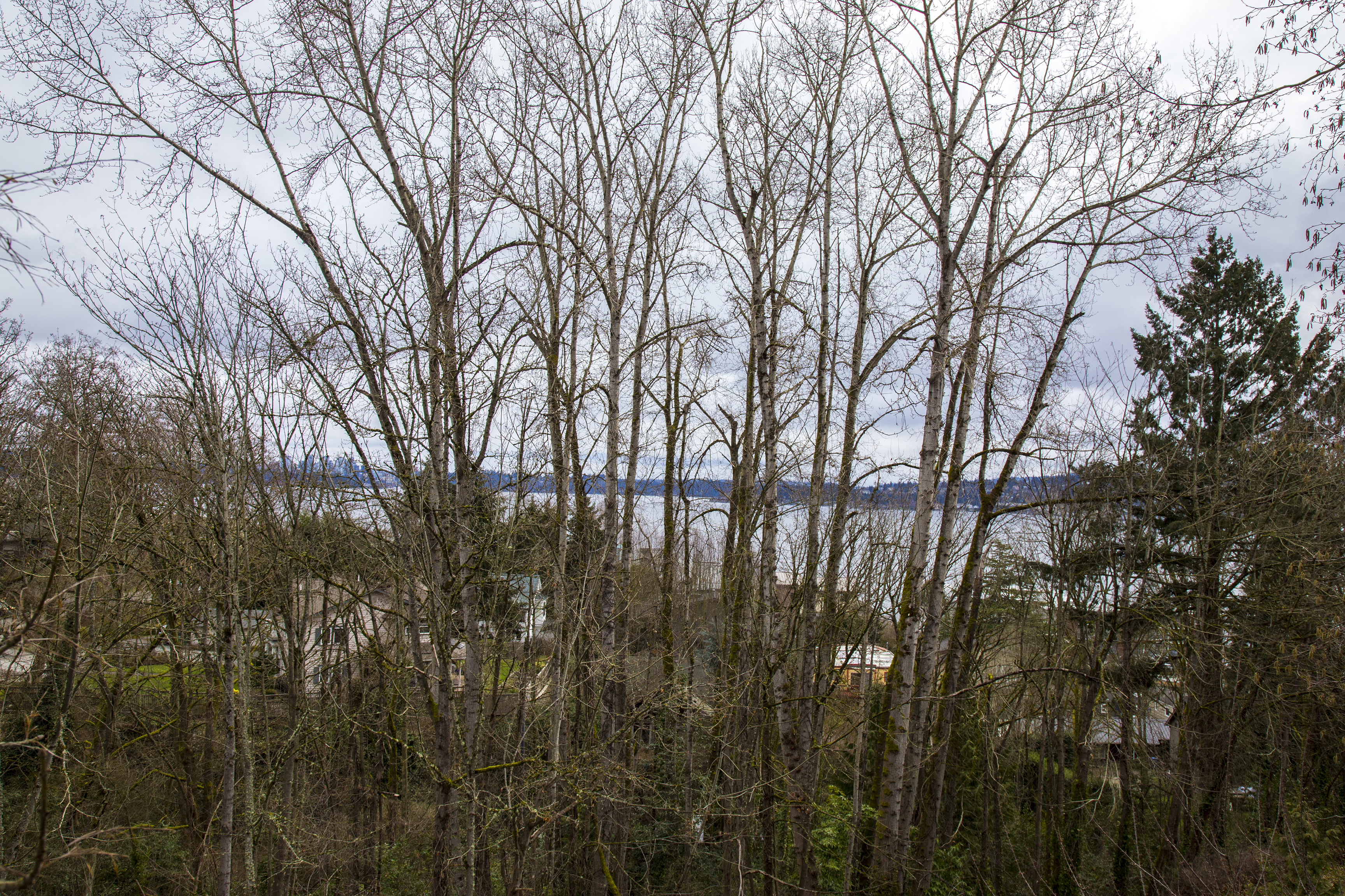 Property Photo: View 517 Lake Washington Blvd S  WA 98144 