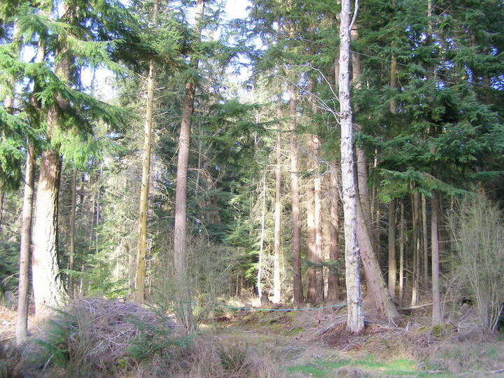 Property Photo: Exteriors 0 Spahr Rd WA 98253