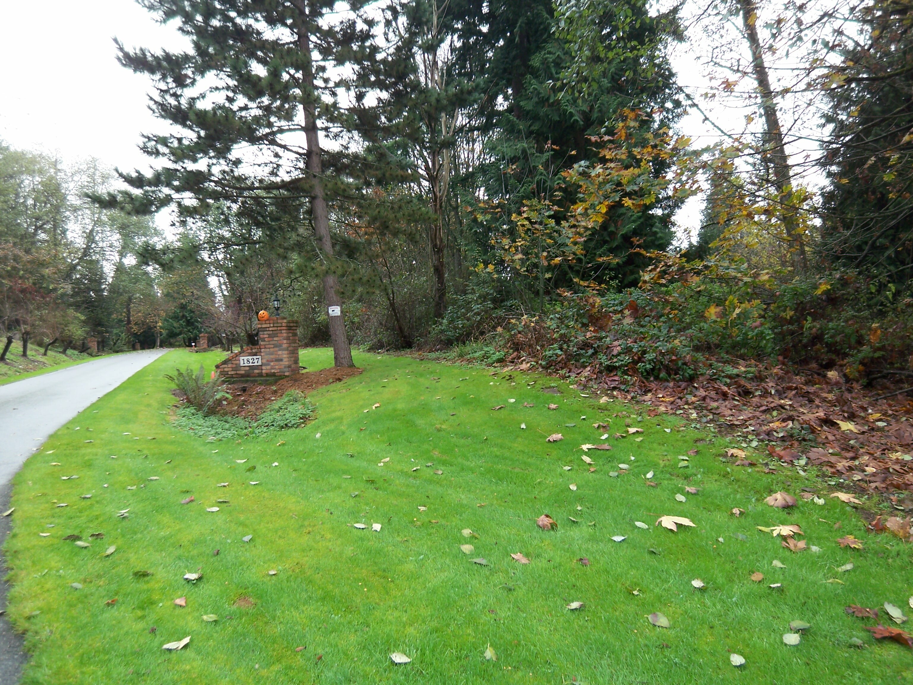 Property Photo: Rare acre parcel in adelaide 1900 304th St SW  WA 98023 
